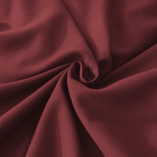 Andency Burgundy Twin Size Comforter Set for Kids Girls, 2 Pieces Solid Shabby Chic Ruffle Bedding Comforters & Sets, Soft Cozy Lightweight Down Alternative Twin Bed Set for All Season