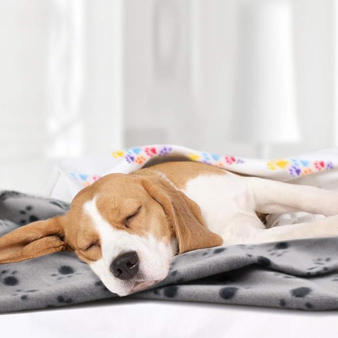 Comsmart Dog Blankets for Small Dogs, 6 Pack Puppy Blanket Cute Paw Print Pet Blanket for Dog, Puppy, Cat, Kitten, 39x31 inches