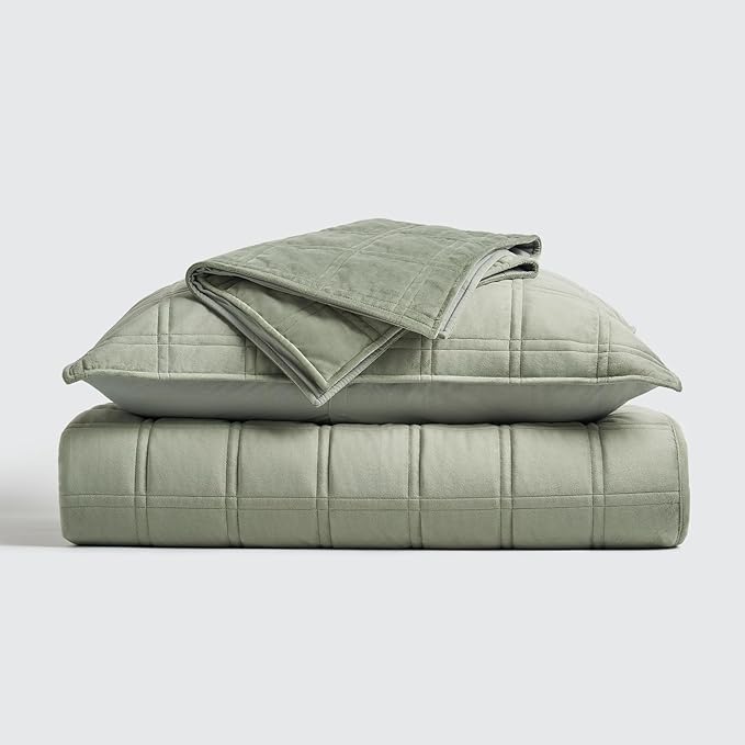EVERGRACE 3 Pieces Luxurious Velvet Quilt Queen Size, Ultra Soft Bedspread Coverlet Set, Double Box Stitch Lightweight Velvet Comforter for All Season with 2 Shams, Sage Green, 92"x96"
