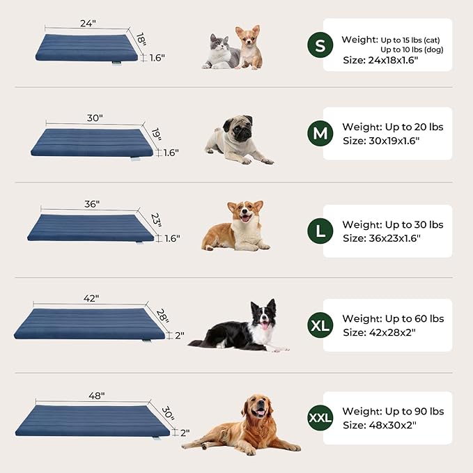BALANCE Dog Crate Bed, Orthopedic Dog Bed Pad with Waterproof Liner, Washable Crate Foam Pet Mat for Large, Medium, Puppy Dogs Breeds, Mint Leaf, 30"x19"x1.6"