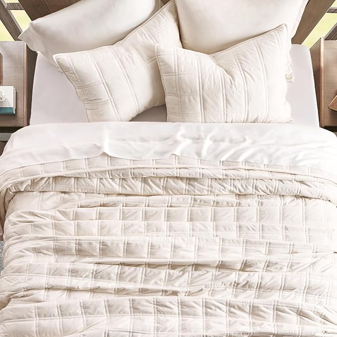 EVERGRACE 3 Pieces Luxurious Velvet Quilt Queen Size, Ultra Soft Bedspread Coverlet Set, Double Box Stitch Lightweight Velvet Comforter for All Season with 2 Shams, Cream White, 92"x96"