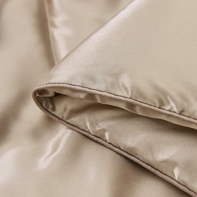 NTBED Silky Satin Comforter Set Queen Champagne, Soft Lightweight Microfiber Luxury Sexy Quilted Bedding Sets with 2 Matching Pillow Covers for Summer Spring Autumn