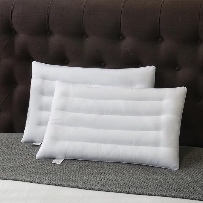 2 Pack Thin Pillow for Stomach and Back Sleeper Low Pillow Flat Bed Pillow Flat Design Pillows Ultra Slim 2.5 Inches Deeper Sleep (Pack of 2)