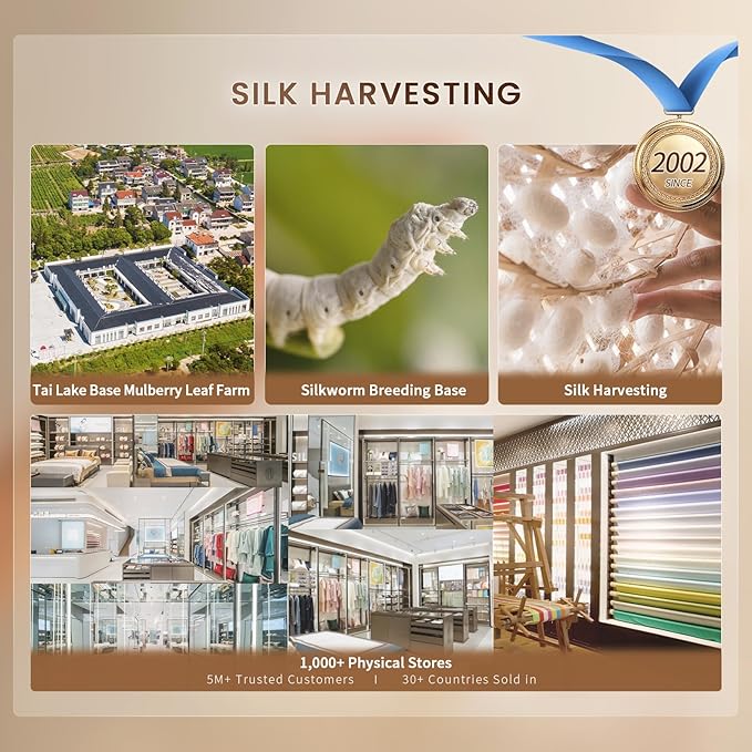 THXSILK 6A+ Top Grade 100% Pure Mulberry Silk Twin Fitted Sheet 3Pcs Set Bed Sheets Luxury Bedding for Hair and Skin, 1 Fitted Sheet with 2 Pillowcases Breathable Cooling Natural Materials, Taupe
