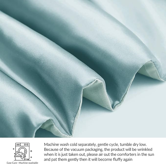 Whale Flotilla 2-Piece Reversible Silky Soft Twin Size Comforter Bedding Set, Luxurious Satin Comforters with Satin Pillowcase, Lightweight Duvet for All Seasons, Haze Blue