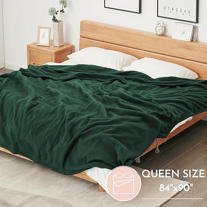 Electric Heated Blanket Queen Size 84"x90" Microplush Cover Blanket 4 Heat Settings & 10 Hours Auto Off, Cozy & Breathable, Warm All Night, Grass Green