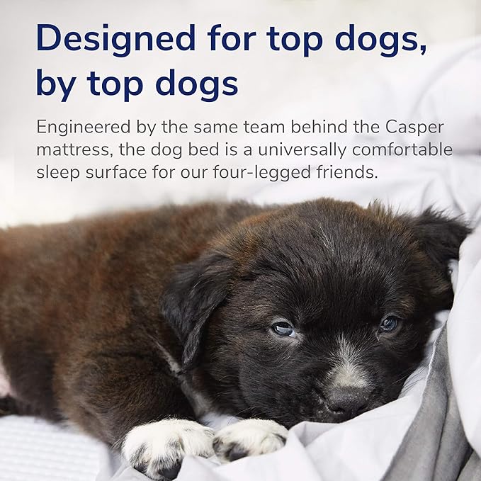 Casper Dog Bed, Plush Memory Foam, Medium, Gray, 25.0"L x 33.0"W x 6.0"Th