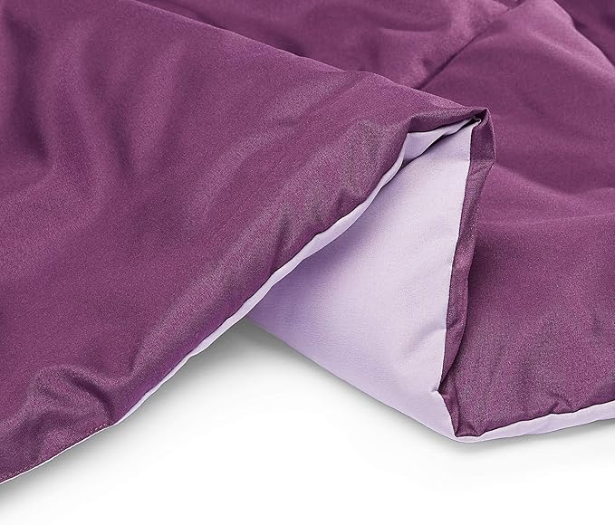Amazon Basics Reversible Lightweight Microfiber All Season Bed Comforter Blanket, Plum/Light Purple, Twin/Twin XL