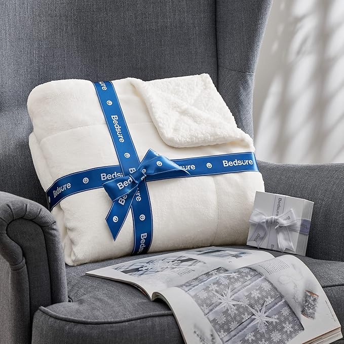 Bedsure GentleSoft Sherpa Fleece Throw Blanket Twin Size for Couch - Thick and Warm Throw for Women and Men, Soft Fuzzy Plush Twin Blanket for Winter, Non-Heated, White, 60x80 Inches