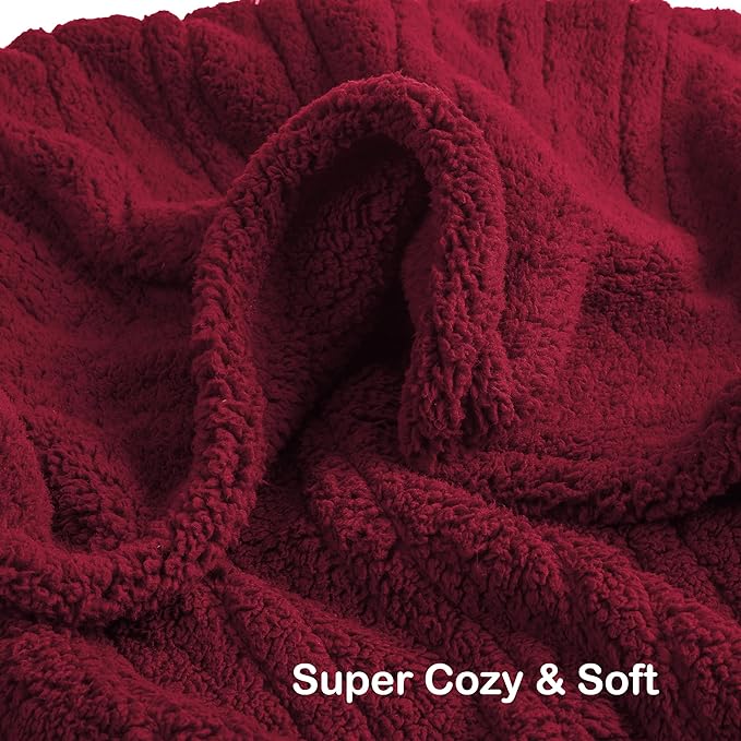 Electric Heated Blanket Throw Size 50"×60" with 9 Heating Levels & 1-10 Hs auto Off, Heating Throw Double Sided Sherpa, Energy Efficient, Machine Washable, for Couch & Office, Red