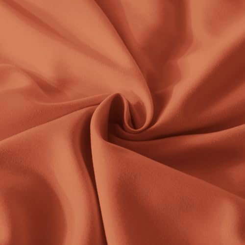 Andency Burnt Orange Twin Size Comforter Set, 2 Pieces Terracotta Ruffle Shabby Chic Bedding Comforters & Sets for Kids Grils, All Season Soft Lightweight Down Alternative Bed Blanket Set