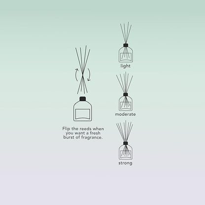 Luxury Reed Diffuser for Home & Bathroom – Ash & Iron Fresh Horizon, Crisp Alpine Air & Cactus Blossom, 125 mL, 3–5 Month Duration