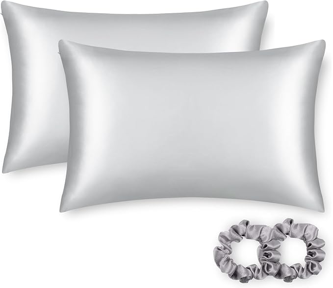 ALASKA BEAR Silk Pillowcase for Hair and Skin, Set of 2 Pure Genuine 22 Momme Mulberry Silk Pillow Cases King Size for Bliss Sleep Better Than Poly Satin, Zipper Closure(2pc, Silver)