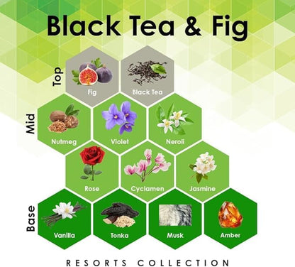 Aroma Retail Fragrance Oil Refill for Scent Machine Aroma Diffuser (27 fl oz, Black Tea Fig)