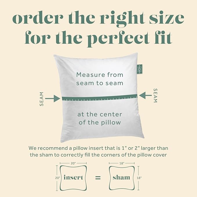 ComfyDown Set of Two 22X22 Decorative Throw Pillow Insert, Down and Feathers Fill, 100% Cotton Cover 233 Thread Count, Square Pillow Insert - Made in USA