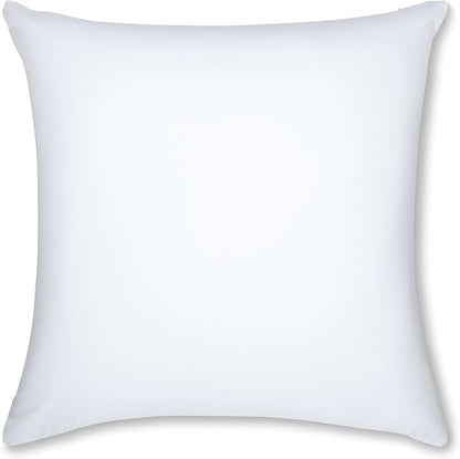 PILLOWY 22" x 22" Throw Pillow - White: 1 PCS Luxurious Premium Microbead Pillow with 85/15 Nylon/Spandex Fabric. Forever Fluffy, Outstanding Beauty & Support. Silky, Soft & Beyond Comfortable