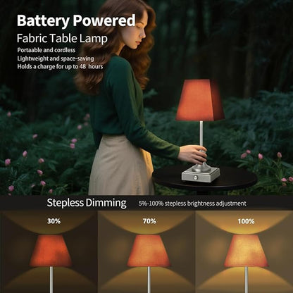 Rechargeable LED Table Lamps with Stepless Touch Control,Sliver Cordless Lamp for Living Room&Bedside&Patio&Shower,Small Desk Lamp(6000mAH Battery),1 Pack for Home Decor,Best Gifts for Family