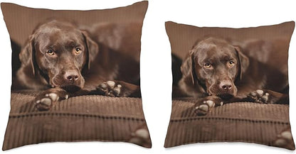 Sleepy Chocolate Lab Labrador Retriever Throw Pillow