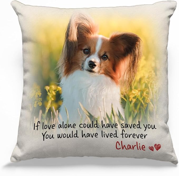 Pawfect House Personalized Pet Memorial Pillow (Insert Included), Cat Loss Sympathy Gift, Custom Photo in Loving Memory Pillow, Pet Loss Bereavement Gifts, Dog Memorial Gifts for Loss of Dog