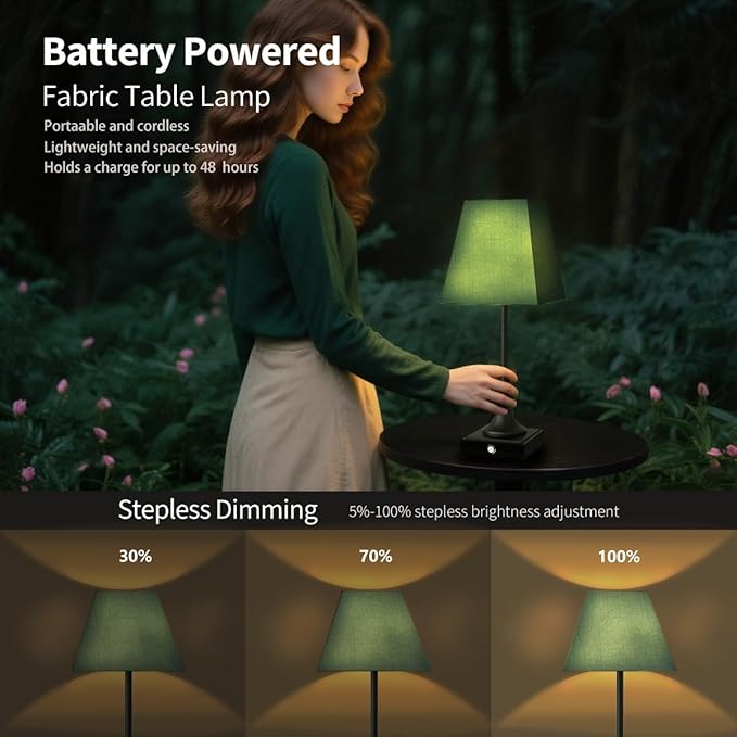 Rechargeable LED Table Lamps with Stepless Touch Control,Black Cordless Lamp for Living Room&Bedside&Patio&Shower,Small Desk Lamp(6000mAH Battery),2 Pack for Home Decor,Best Gifts for Family