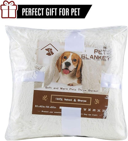 LOCHAS Luxury Fluffy Dog Blanket, Extra Soft and Warm Sherpa Fleece Pet Blankets for Dogs Cats, Plush Furry Faux Fur Puppy Throw Cover, 40''x60'' Cream White