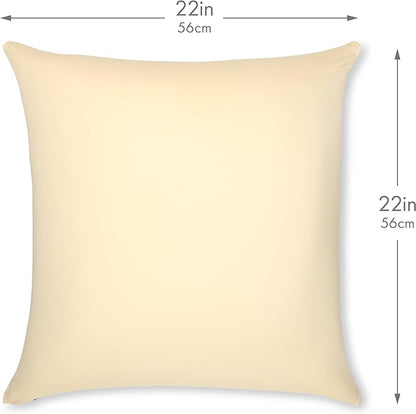 PILLOWY 22"x22" Throw Pillow - Off white- Creme: 1Pcs Luxurious Premium Microbead Pillow With 85/15 Nylon/Spandex Fabric. Forever Fluffy, Outstanding Beauty & Support. Silky, Soft & Beyond Comfortable