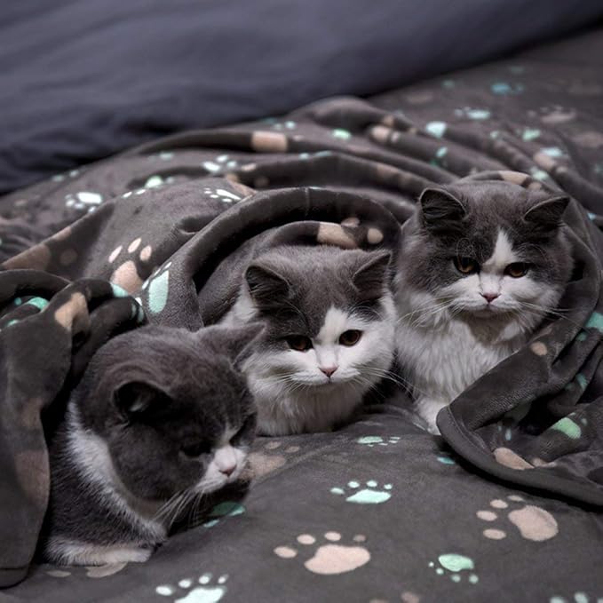 Allisandro 350 GSM-Super Soft and Premium Flannel Fleece Pet Dog Blanket, The Cute Print Design Washable Fluffy Blanket for Extra Large Puppy Cat Kitten Indoor or Outdoor, Grey, 80 x 64 Inches