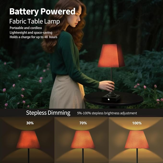 Rechargeable LED Table Lamps with Stepless Touch Control,Black Cordless Lamp for Living Room&Bedside&Patio&Shower,Small Desk Lamp(6000mAH Battery),2 Pack for Home Decor,Best Gifts for Family