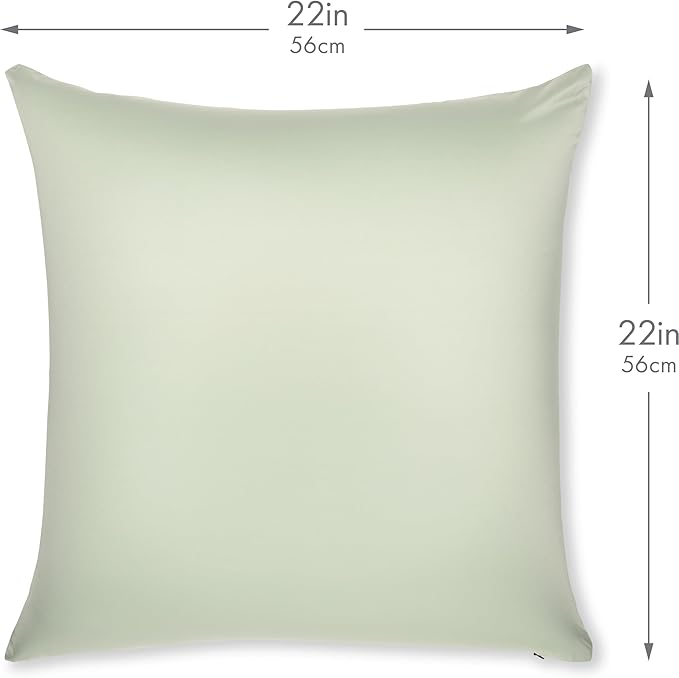 PILLOWY 22" x 22" Throw Pillow - Cadet Grey: 1 PCS Luxurious Premium Microbead Pillow with 85/15 Nylon/Spandex Fabric. Forever Fluffy, Outstanding Beauty & Support. Silky, Soft & Beyond Comfortable