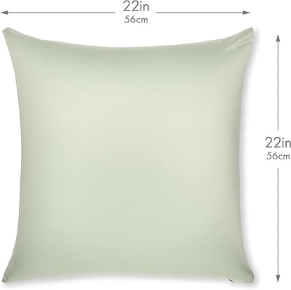 PILLOWY 22" x 22" Throw Pillow - Cadet Grey: 1 PCS Luxurious Premium Microbead Pillow with 85/15 Nylon/Spandex Fabric. Forever Fluffy, Outstanding Beauty & Support. Silky, Soft & Beyond Comfortable