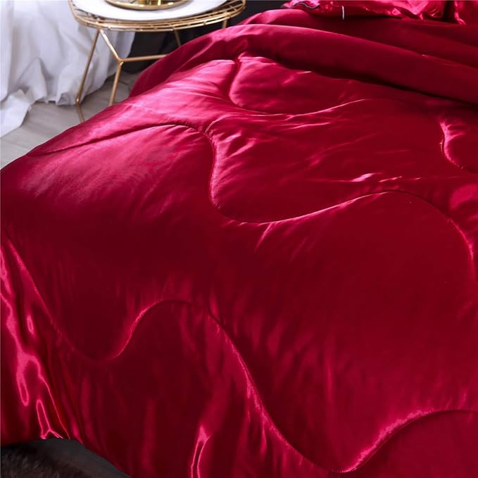 NTBED Silky Satin Comforter Set Queen (90''x90'') Luxury Soft Lightweight Sexy Microfiber Bedding Comforter with 2 Pillow Cases for Summer Spring Autumn (Red, Queen)