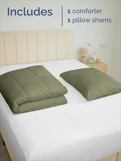 Twin XL Comforter Set - 2 Piece Bed Set for All Seasons - 1 Soft Quilted Comforter w/ Corner Tabs & 1 Pillow Sham - Comfy & Breathable - Premium Down Duvet Insert - Oeko-TEX - Twin XL Size, Sage Green