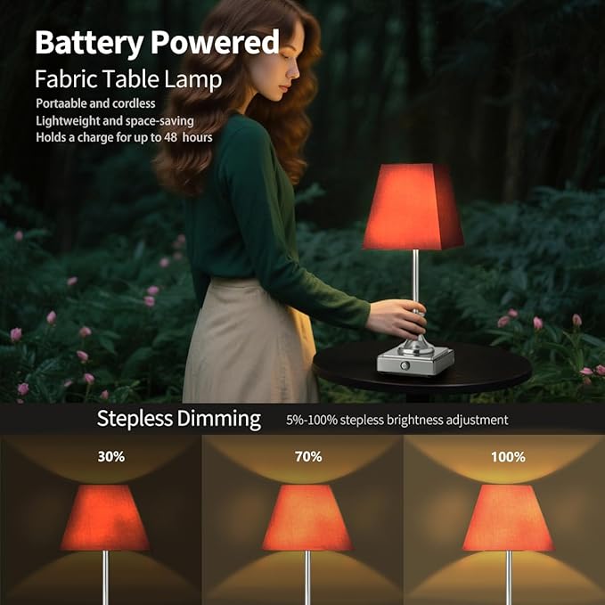 Rechargeable LED Table Lamps with Stepless Touch Control,Light Sliver Cordless Lamp for Living Room&Bedside&Patio&Shower,Small Desk Lamp(6000mAH Battery),2 Pack for Home Decor,Best Gifts for Family