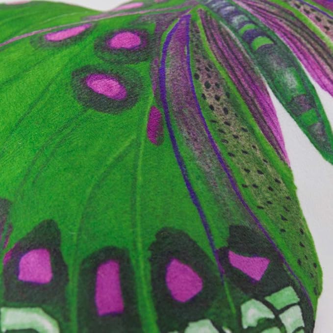 JWH 3D Butterfly Accent Pillow Case Stuffed Plush Animal Decorative Throw Pillow Cover Soft Pillowcase Girls Gift Cushion for Bed Sofa Couch Bedroom 13x15 Inch Green Purple