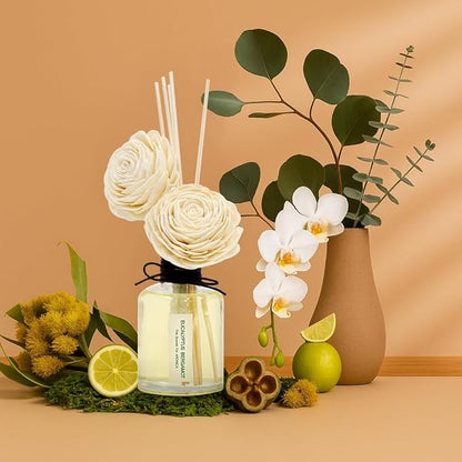 Aronica Twin Sola Diffuser 160ml_Eucalyptus and Bergamot Essential Oil Flower Diffuser, Non Toxic Reed Diffusers, Beach Themed Home Room Decor, Natural Gift for Men, Beach Scent