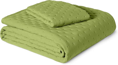 Amazon Basics Brushed Microfiber Quilt Set, Extra Soft with Natural Texture, 2-Piece, Twin/Twin XL, Green