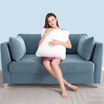 AM AEROMAX 18 × 18 Throw Pillow Memory Foam Pillow Insert - Square Accent Pillow for Decorative Cushion Bed Couch Sofa - Non-Deforming Over Time
