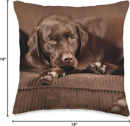 Sleepy Chocolate Lab Labrador Retriever Throw Pillow