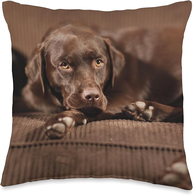 Sleepy Chocolate Lab Labrador Retriever Throw Pillow