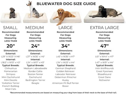 Luxury Boucle Orthopedic Memory Foam Dog Bed with Waterproof Liner and Machine Washable Cover with YKK Zippers (Medium 37" L x 30" W x 6" Th, Cloud)