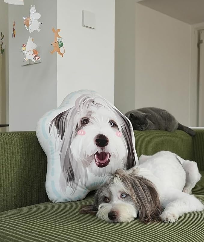 Custom Pet Portrait Pillows with Photos, Personalized Hand-Drawn 3D Dog Pillow, Custom Cat Face Pillow with Cute Design, Birthday Gift for Him or Her