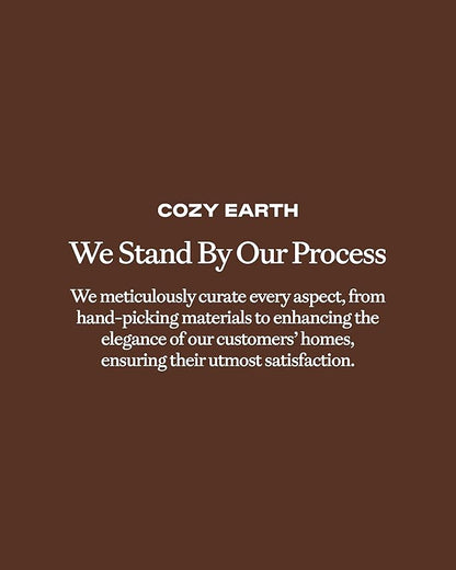Cozy Earth Standard Pillowcases Set of 2 - Made of 100% Viscose from Bamboo, Ultra-Soft & Luxury, Woven from Naturally Breathable & Lightweight Fabric - Charcoal