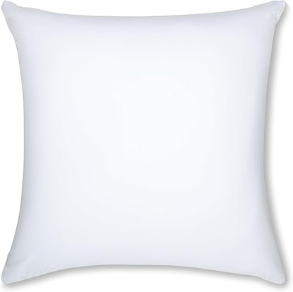 PILLOWY 20" x 20" Throw Pillow - White: 1 PCS Luxurious Premium Microbead Pillow with 85/15 Nylon/Spandex Fabric. Forever Fluffy, Outstanding Beauty & Support. Silky, Soft & Beyond Comfortable