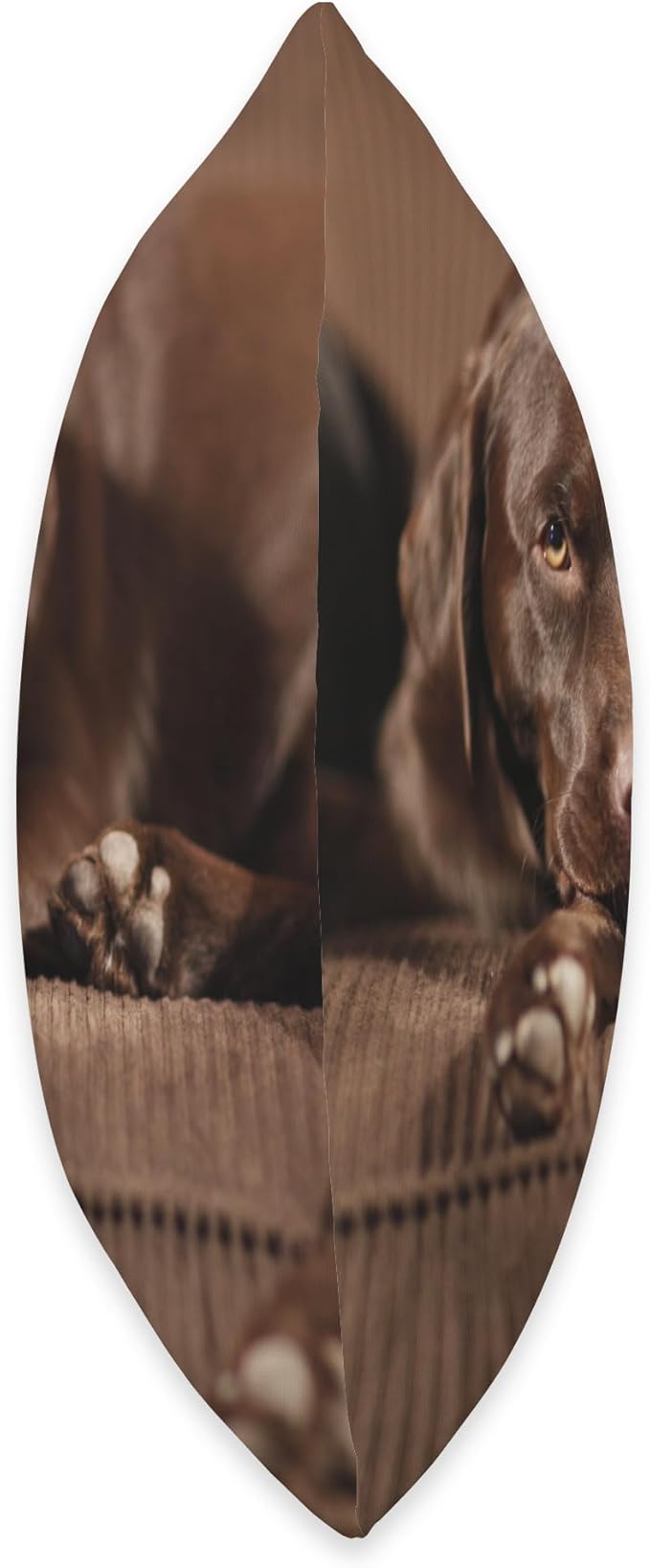 Sleepy Chocolate Lab Labrador Retriever Throw Pillow
