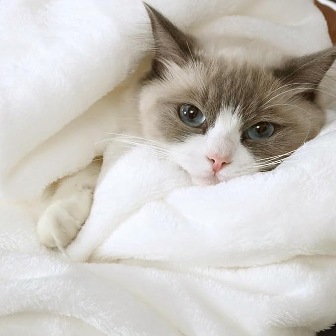 Hansleep Flannel Fleece Throw Blanket Twin Size, Super Soft Fluffy Bed Plush Blanket Throw, Luxury Fuzzy Cozy Couch Blanket for All Seasons, White, Twin 60x80