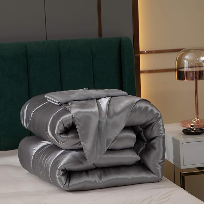 Bedding Dreamer Satin Comforter Queen Size Grey Silky Set with 2 Pillowcases