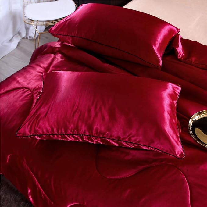 NTBED Silky Satin Comforter Set Queen (90''x90'') Luxury Soft Lightweight Sexy Microfiber Bedding Comforter with 2 Pillow Cases for Summer Spring Autumn (Red, Queen)