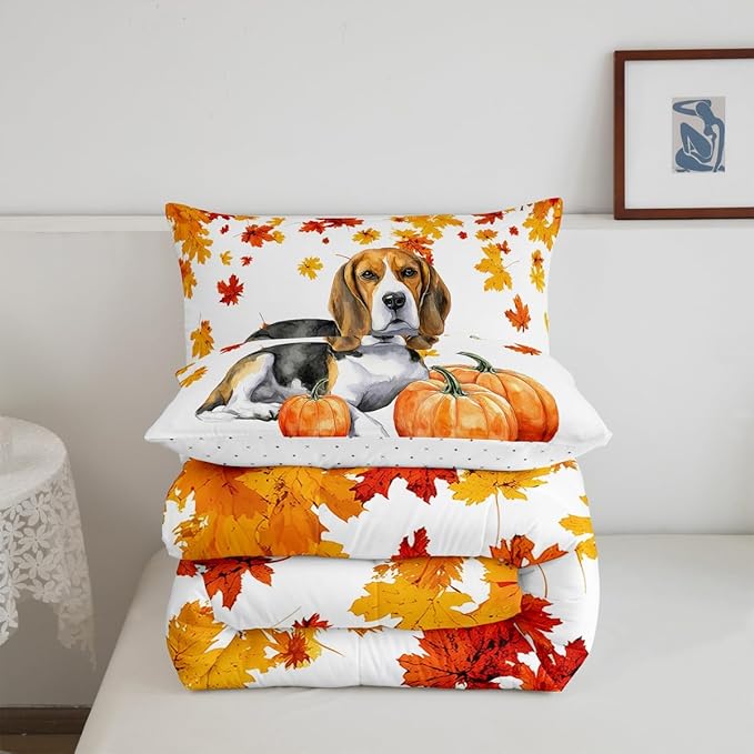 Fall Pumpkin Comforter Set Retro Watercolor Sausage Dog Quilted Duvet King Thanksgiving Harvest Seasonal Bedding Set For Kids Boys Girls,Happy Fall Maple Leaf Soft Lightweight Comforter Orange 3 Pcs