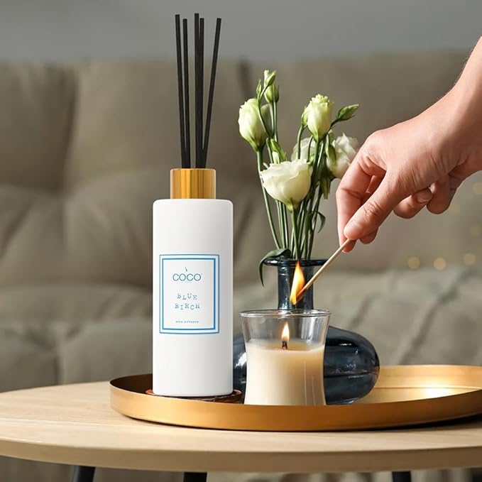 Coco by Stone 5oz Reed Diffuser (Blue Birch) Luxury Scented Oil Diffuser Aromatherapy, Reed Diffusers for Home, Diffusing Oil Fragrance,Fragrance Products, Reed Diffusers for Home, Vegan