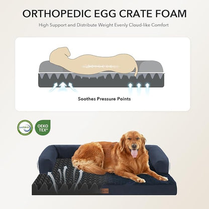 Orthopedic XXL Dog Beds, Waterproof Egg Crate Foam Big Pet Bed for All Breed Sized Dogs 53x42Inch, Washable Extra Large Dog Couch Bed with Removable Cover and Non-Slip Bottom, Navy Blue